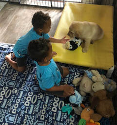 two boys playing with a yellow Labrador puppy