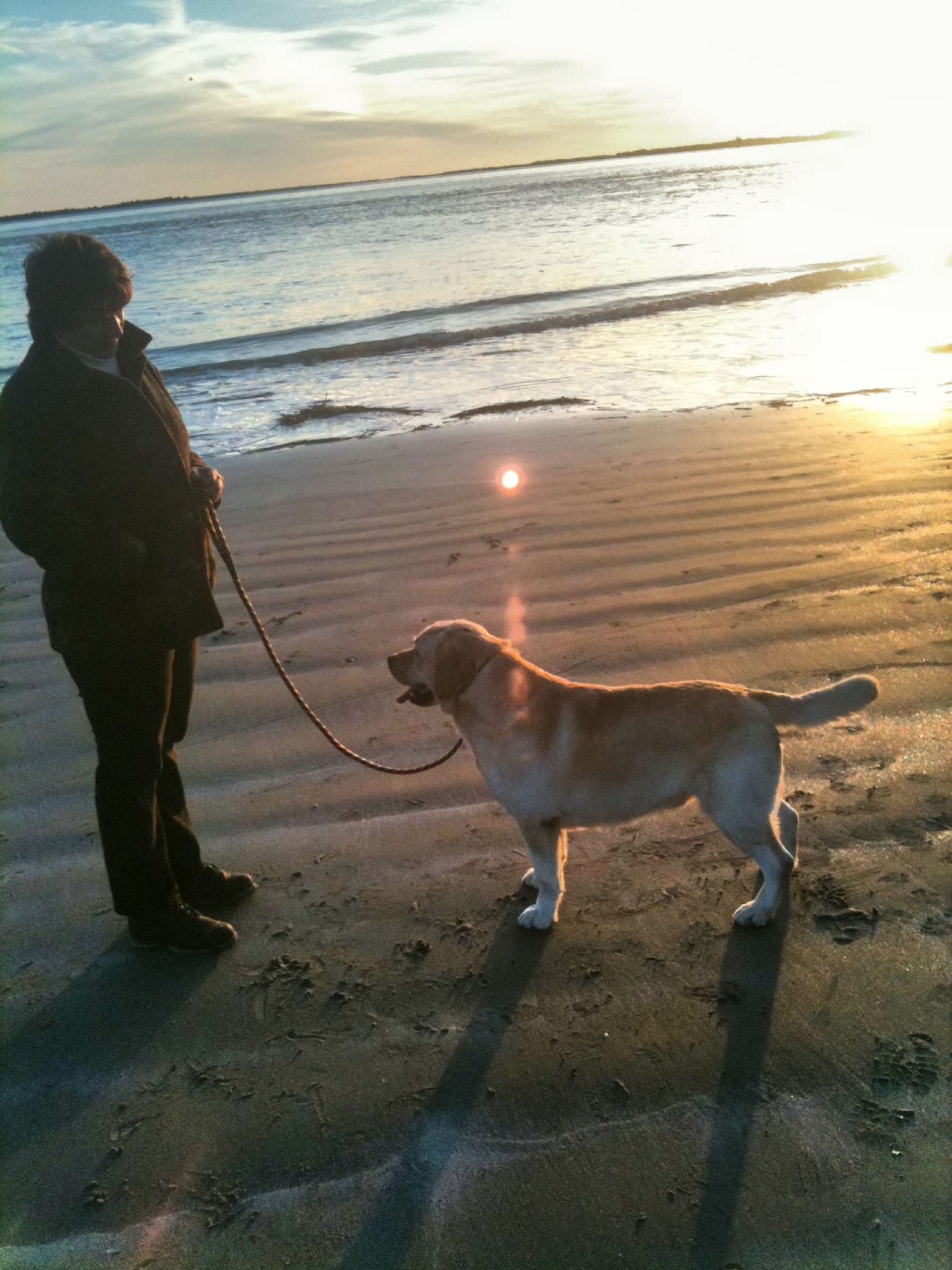 woman and a yellow Labrador on the beach at sunset