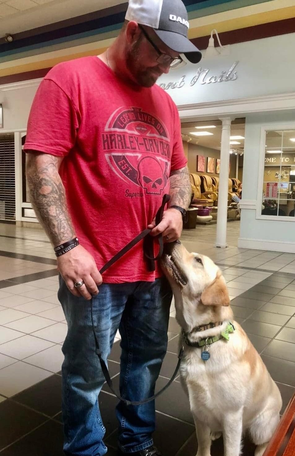 yellow Labrador service dog looking up at his handler at a shopping mall handler has jeans and a red tshirt with a baseball cap on