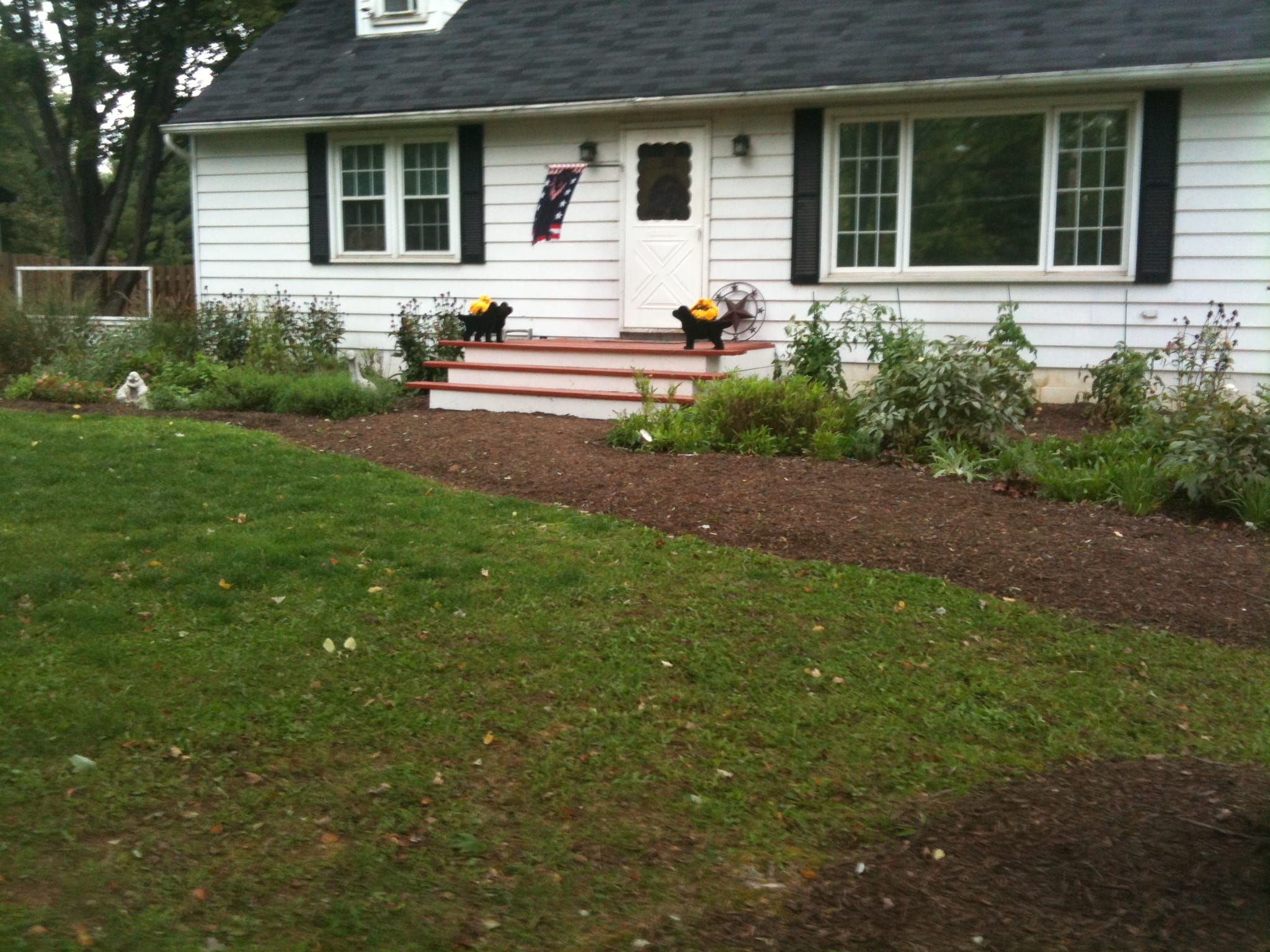 white cape cod house with black roof & shutters; greenery in front