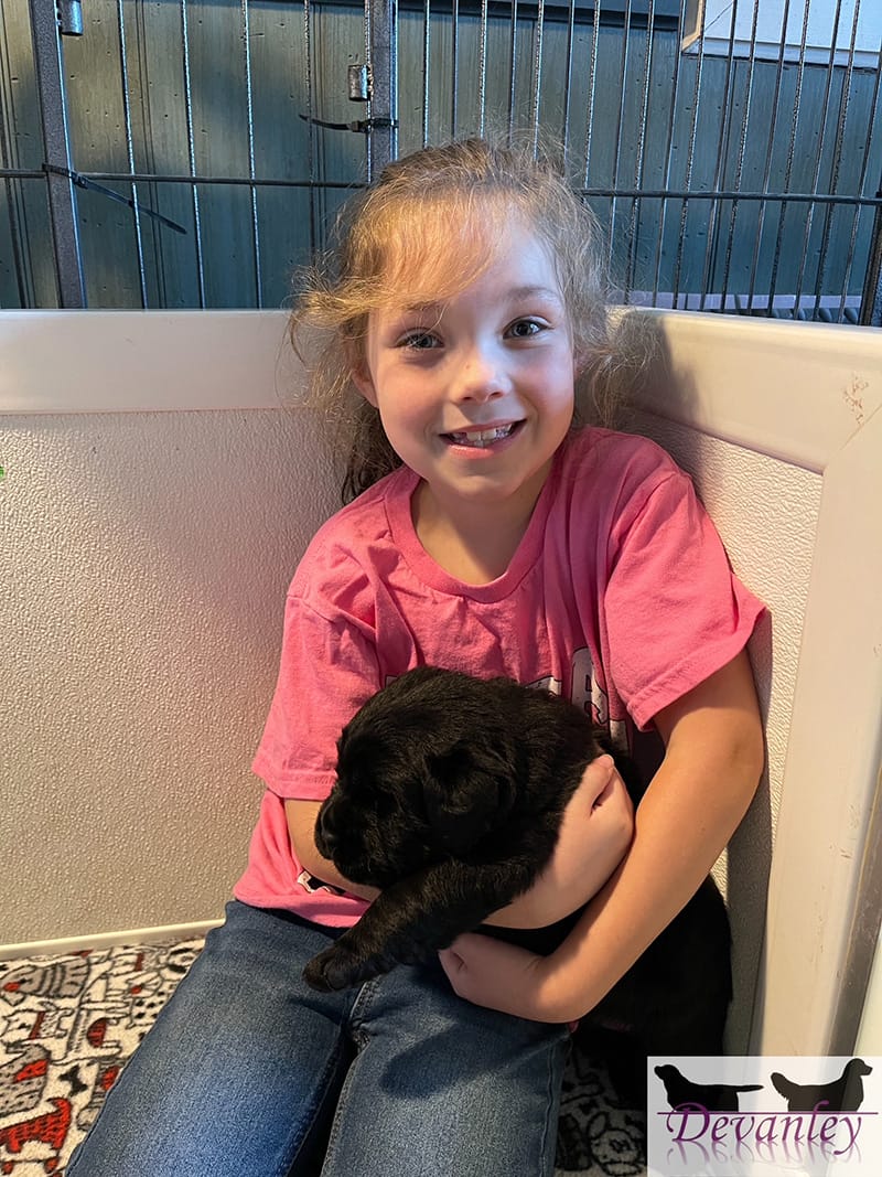 a young girl in a pink tshirt and blue jeans sitting in a whelping box holding a black Labrador puppy